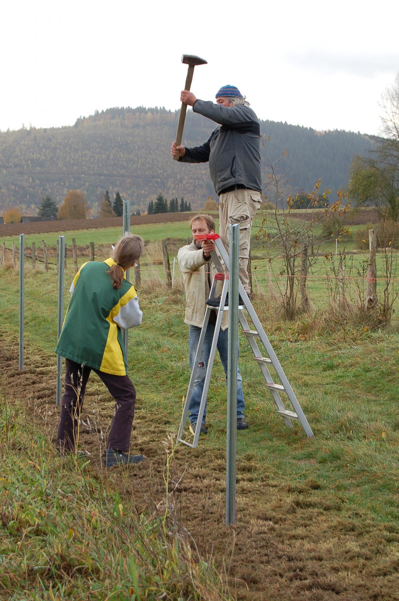 Errichtung des Wildschutzzauns