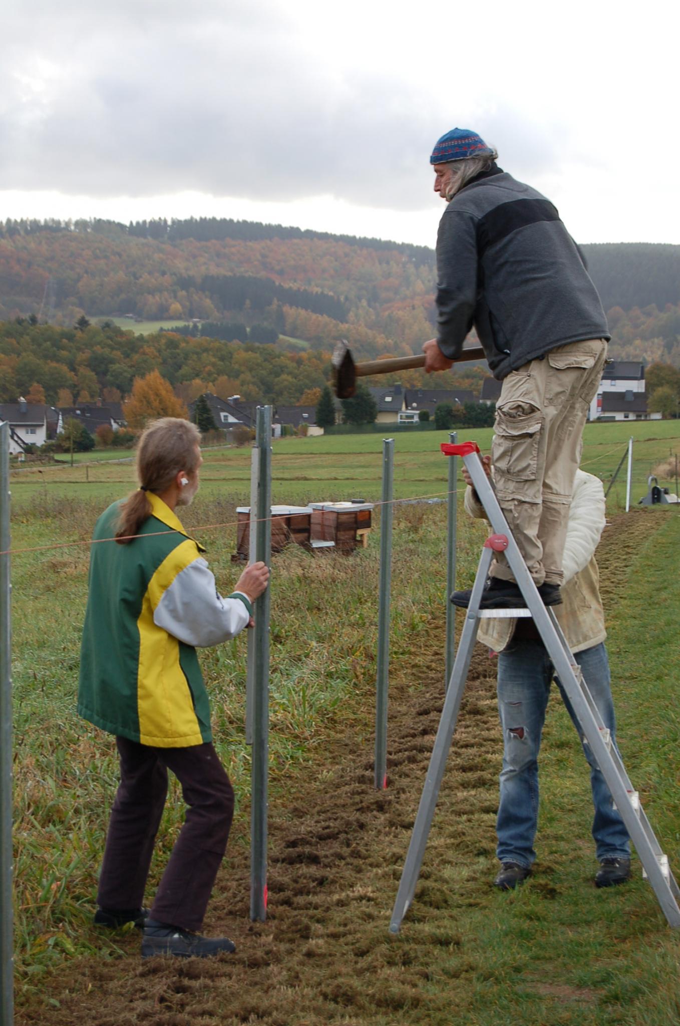 Errichtung des Wildschutzzauns