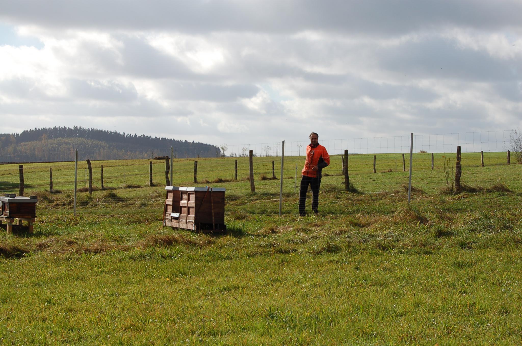 Errichtung des Wildschutzzauns