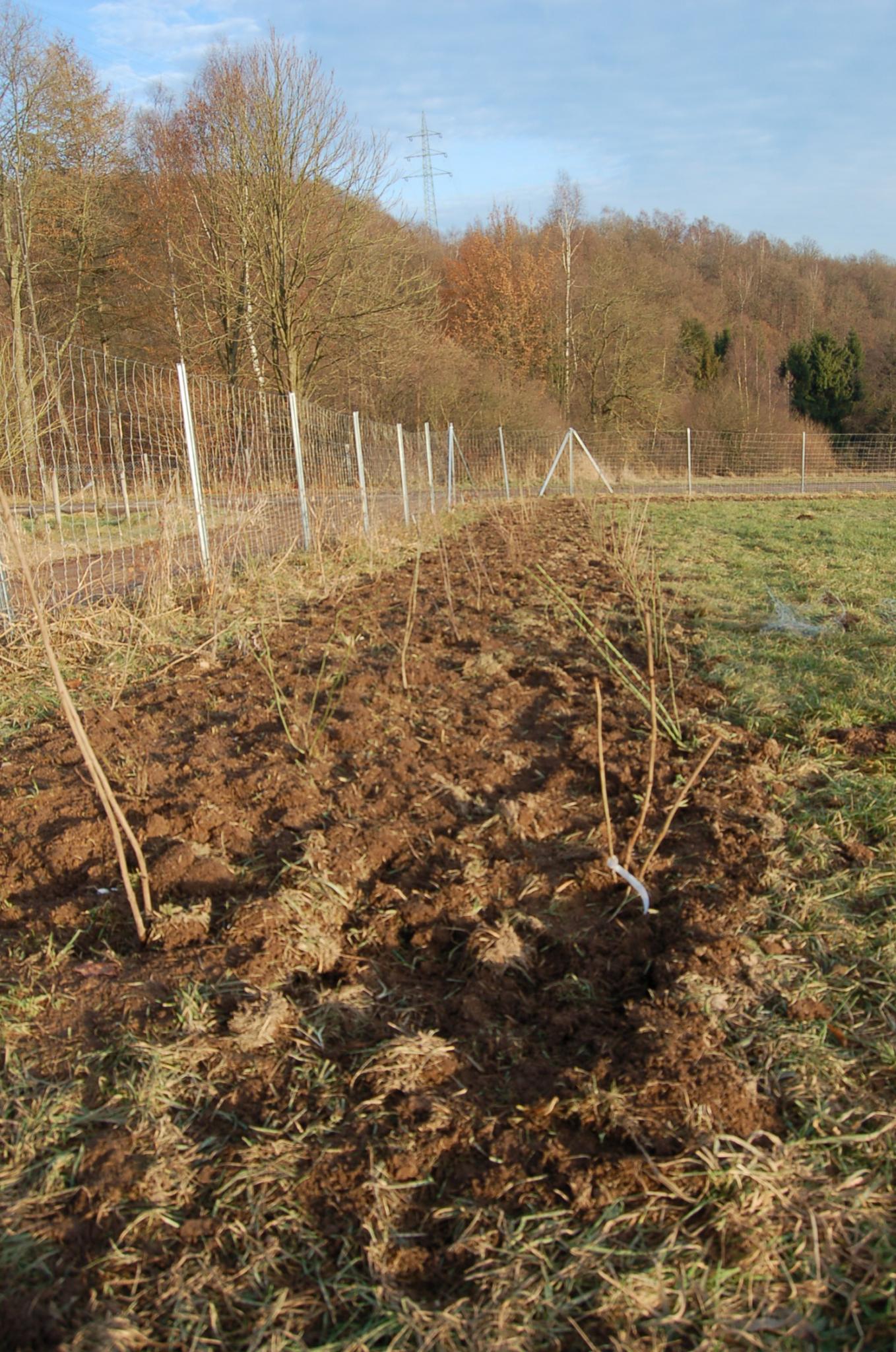 Bienengarten im Dezember 2016