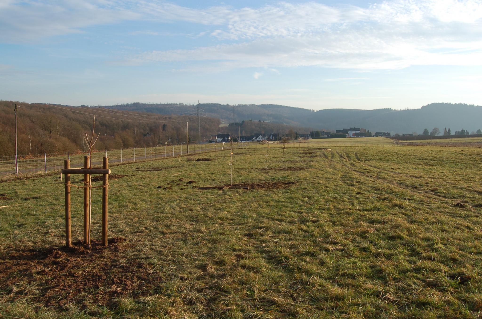 Bienengarten im Dezember 2016