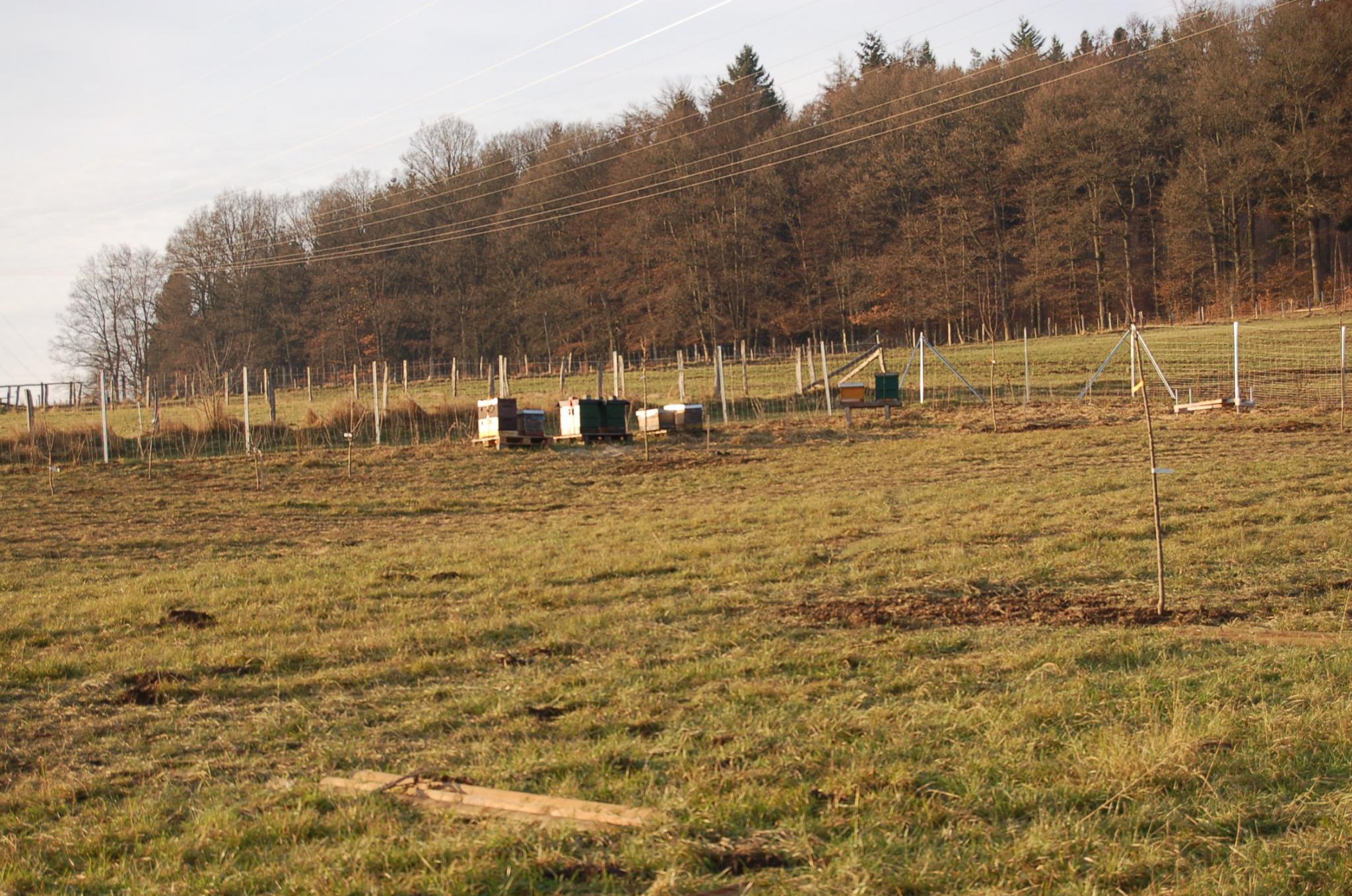 Bienengarten im Dezember 2016