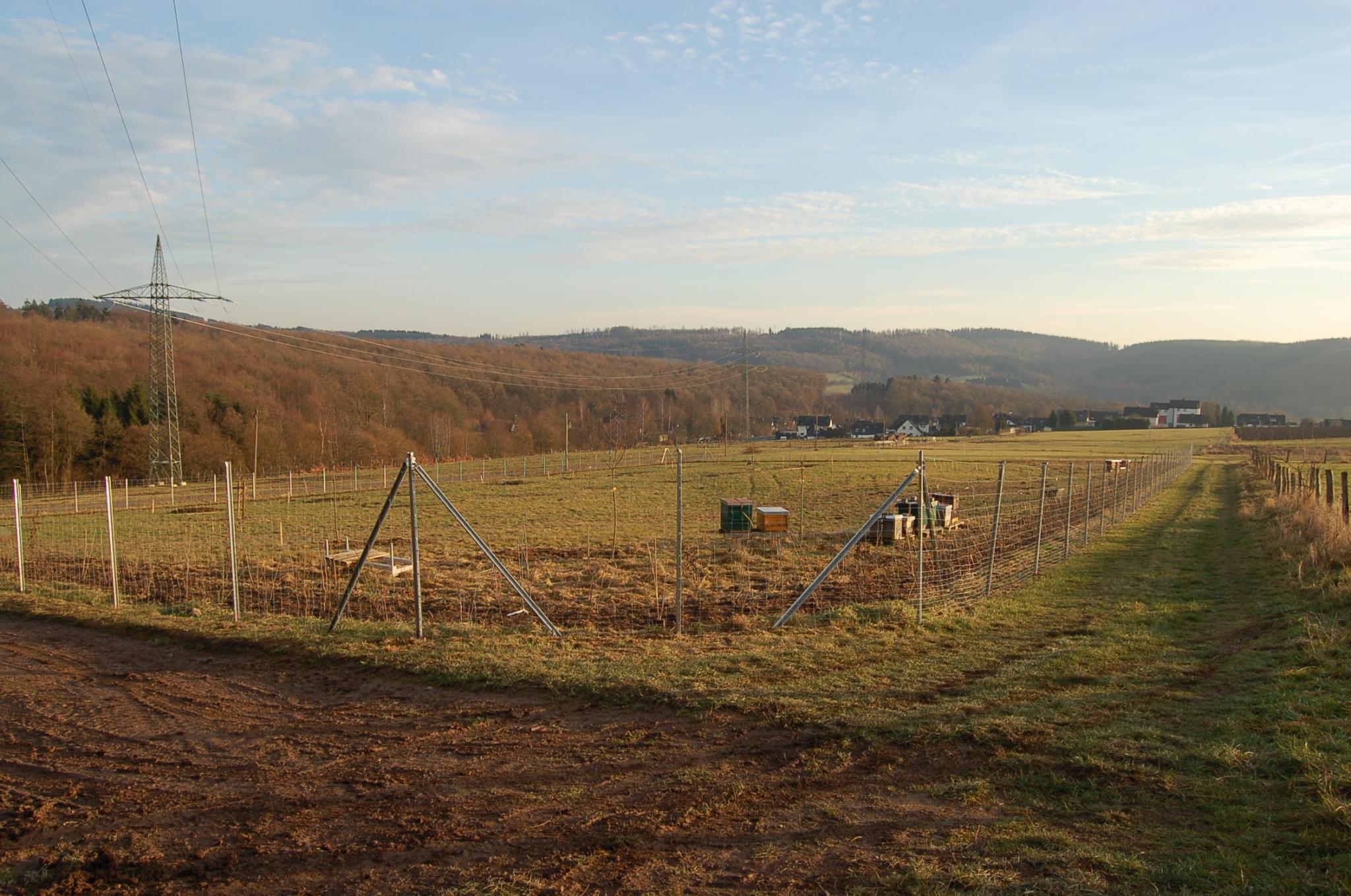 Bienengarten im Dezember 2016