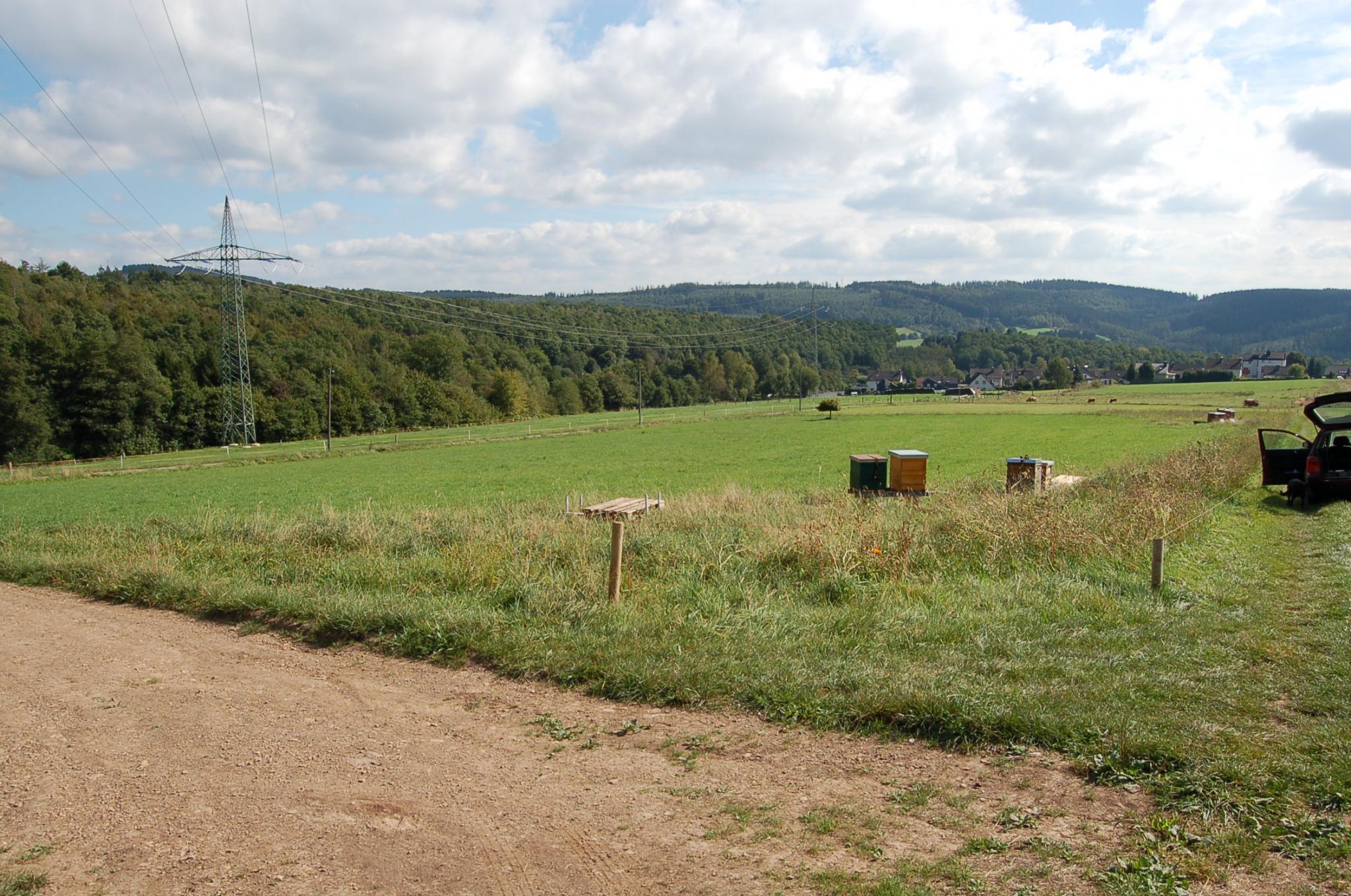 Bienengarten im September 2016