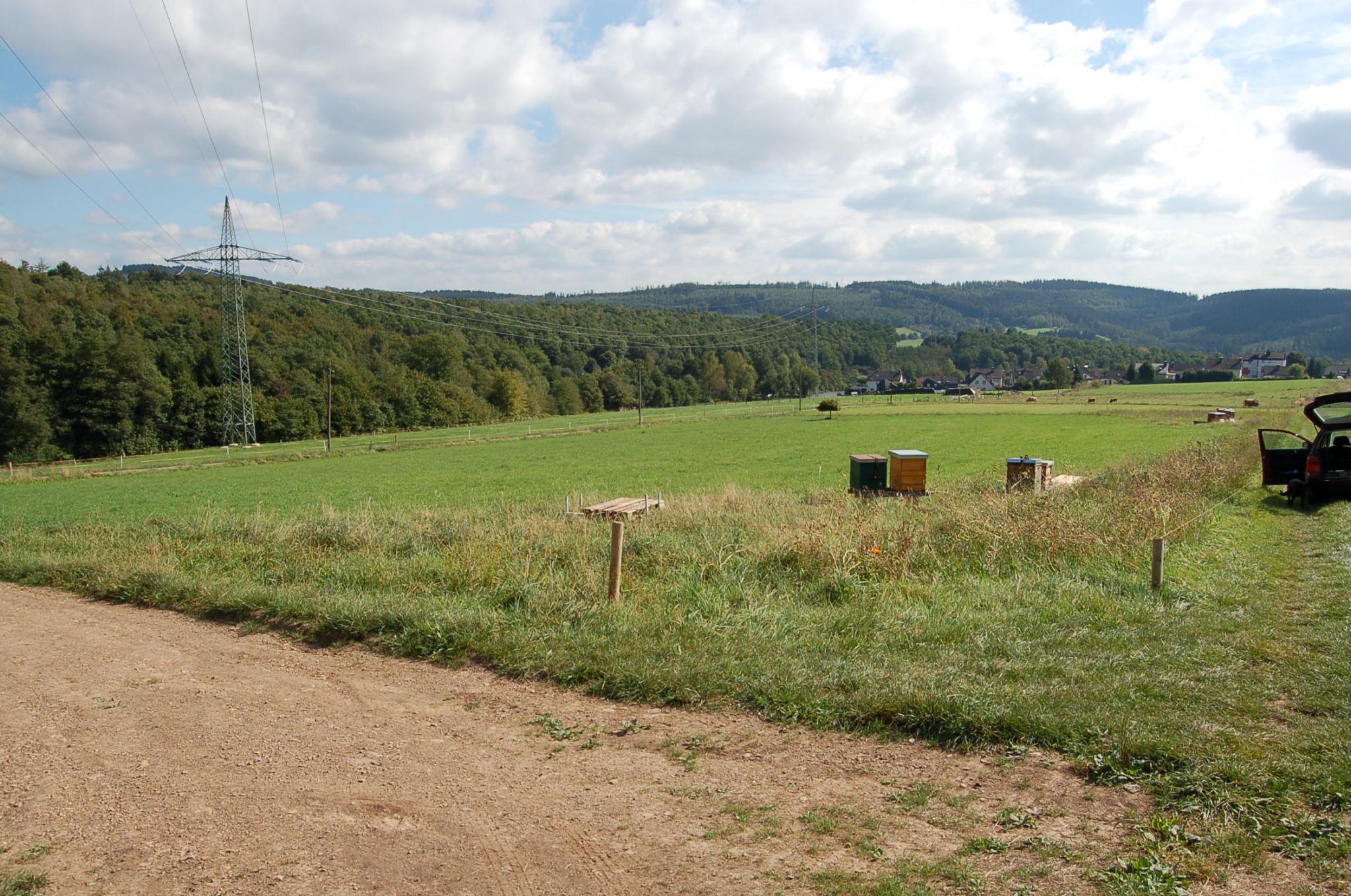 Bienengarten im September 2016