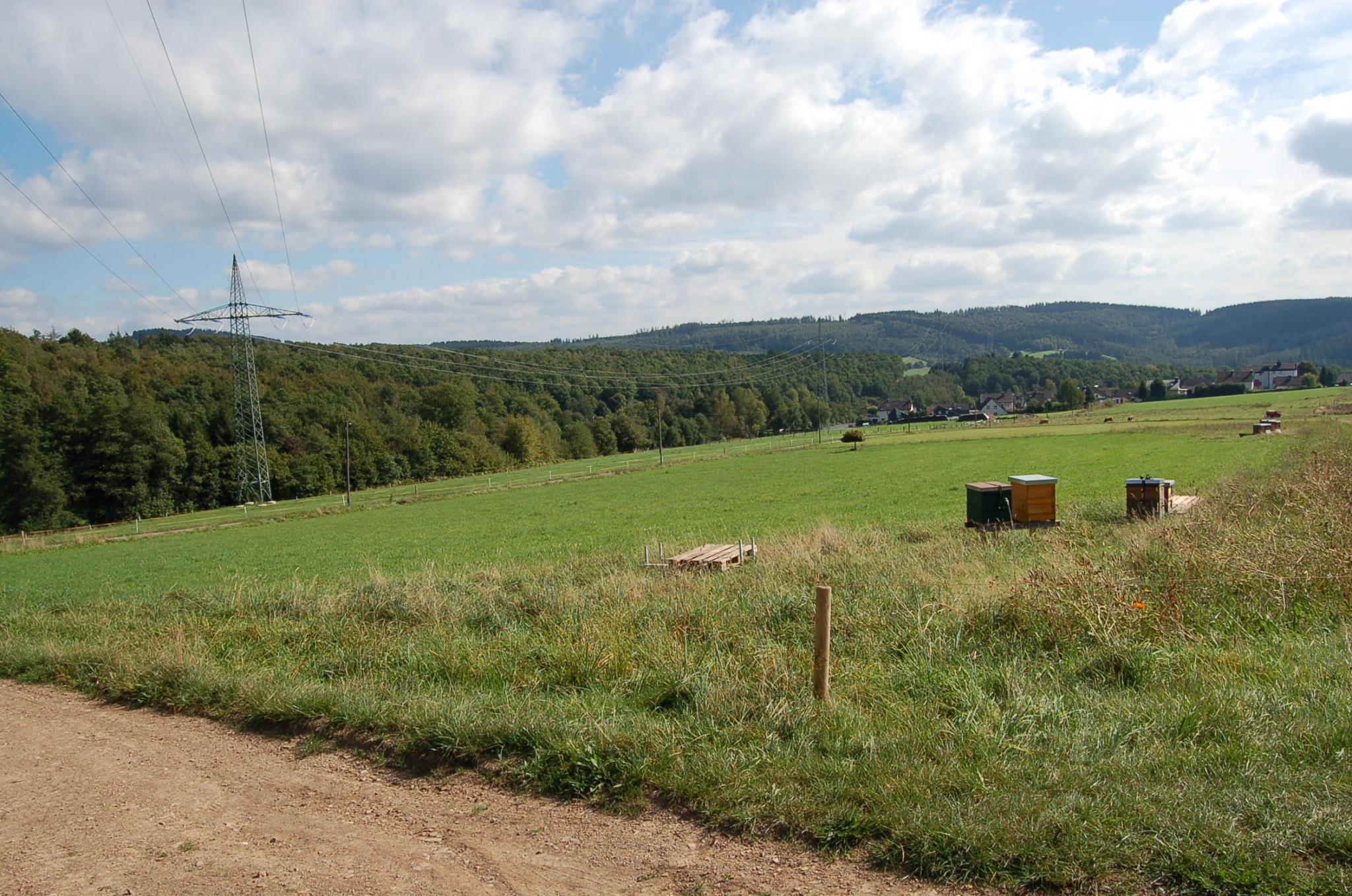 Bienengarten im September 2016