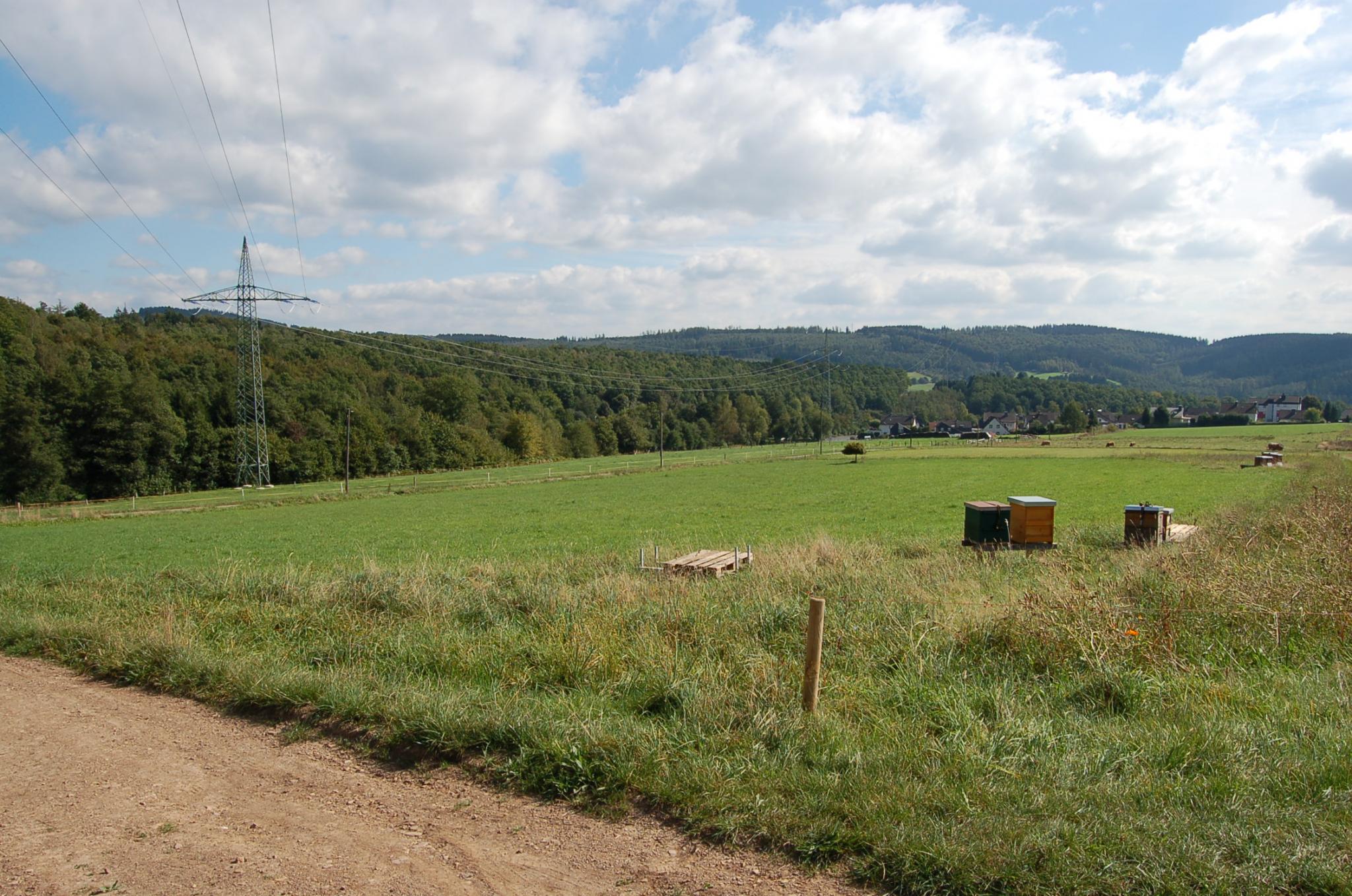 Bienengarten im September 2016