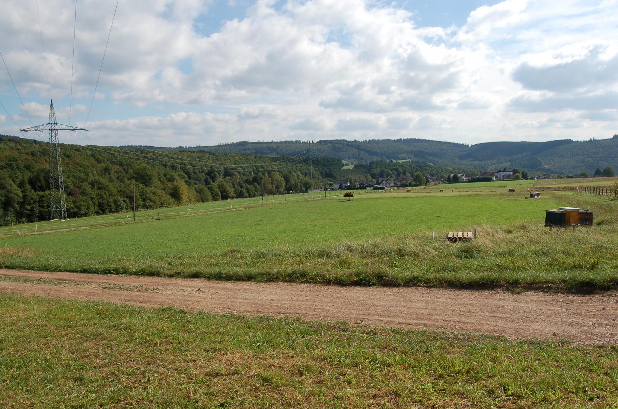 Bienengarten im September 2016