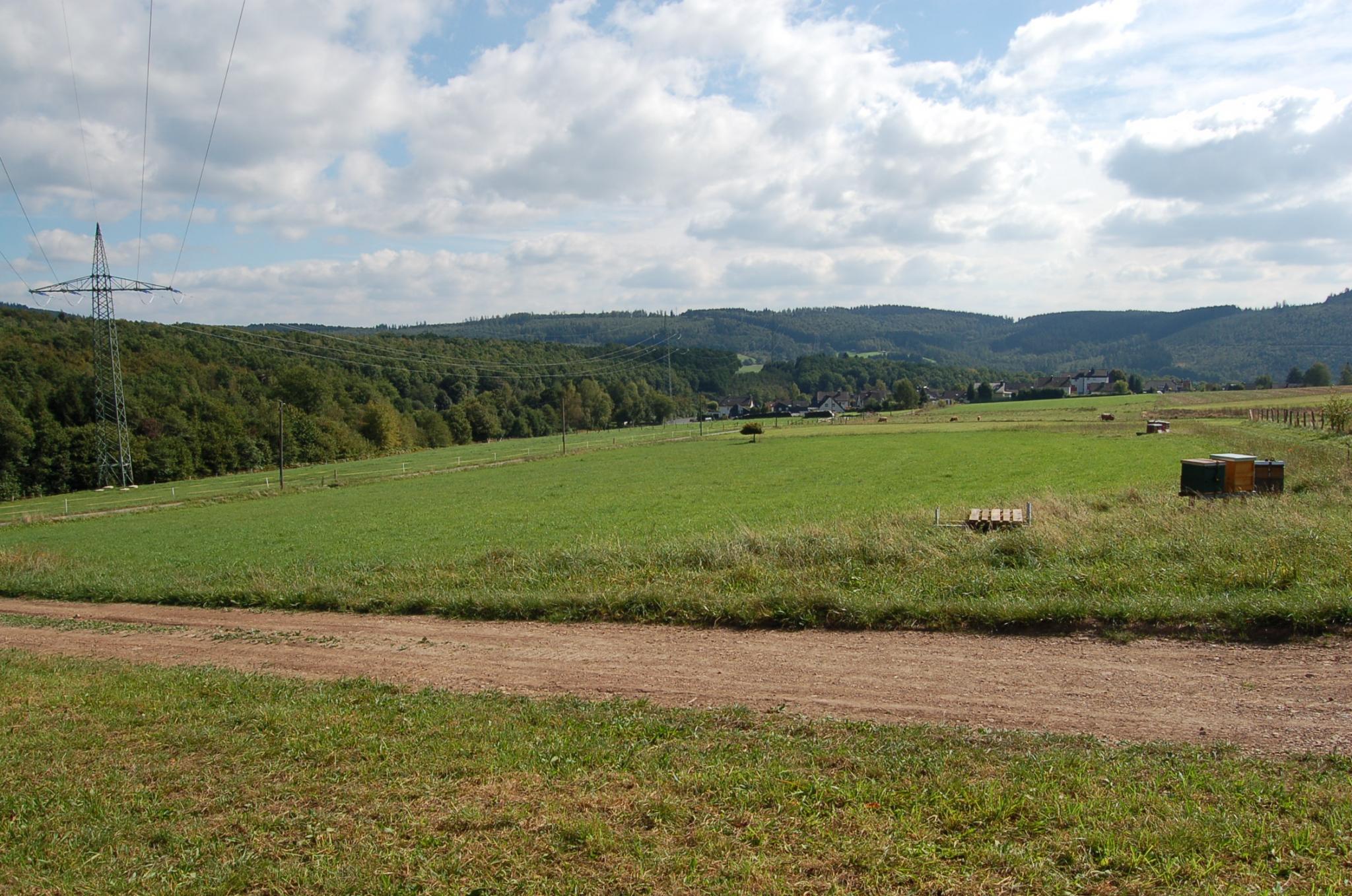 Bienengarten im September 2016