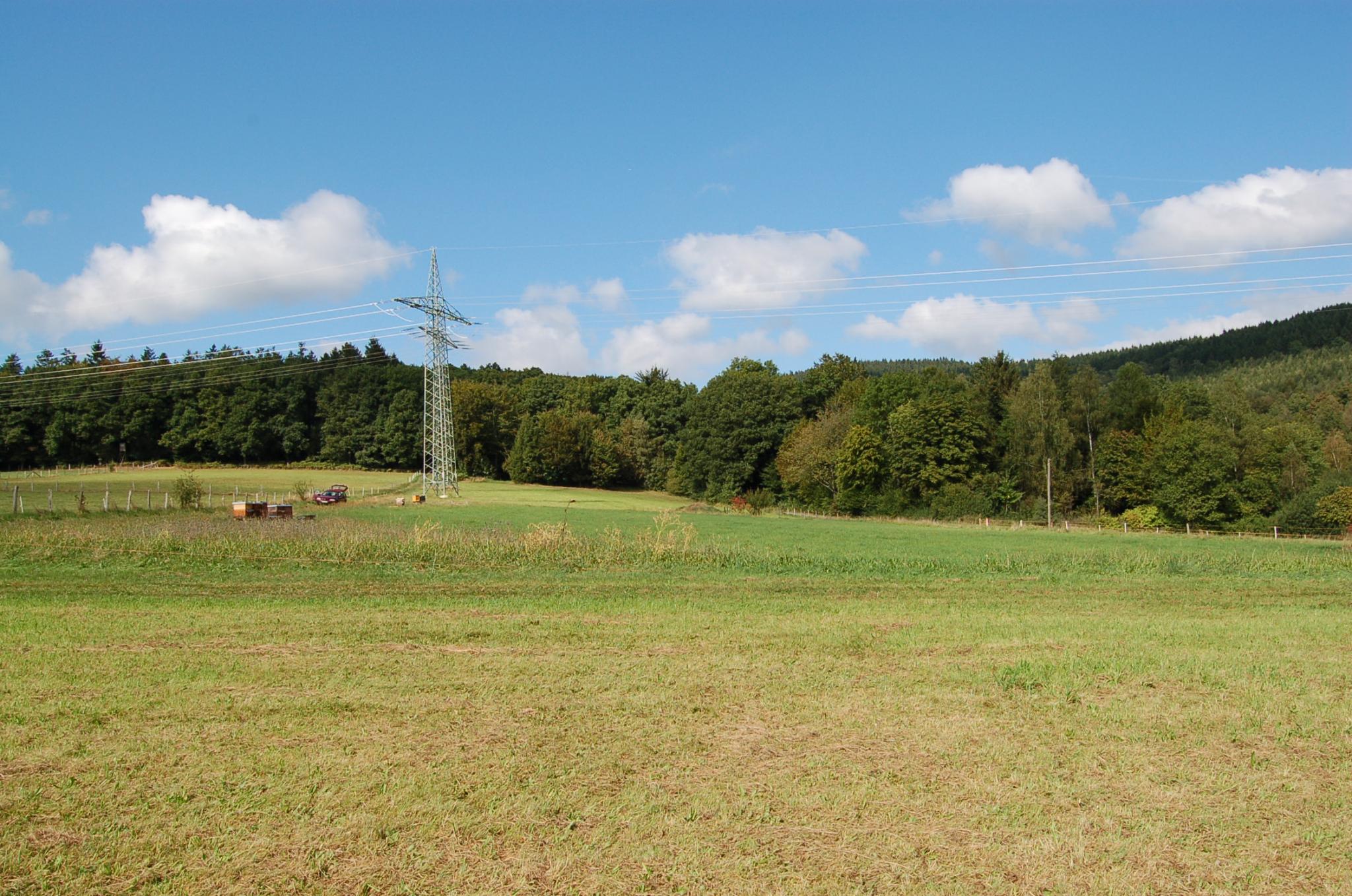 Bienengarten im September 2016