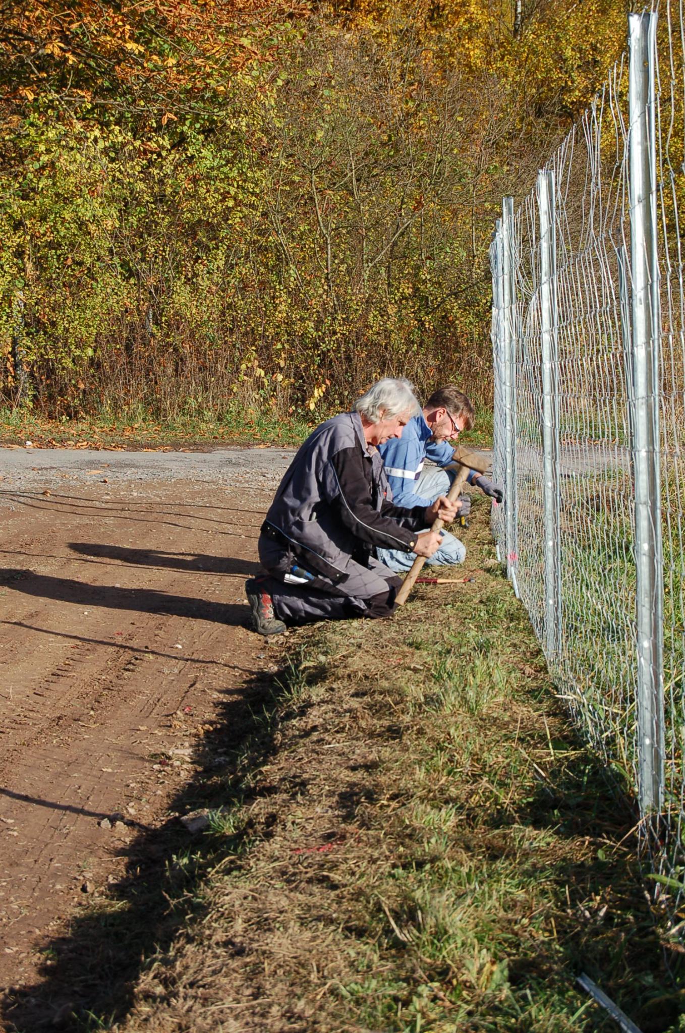 Errichtung des Wildschutzzauns