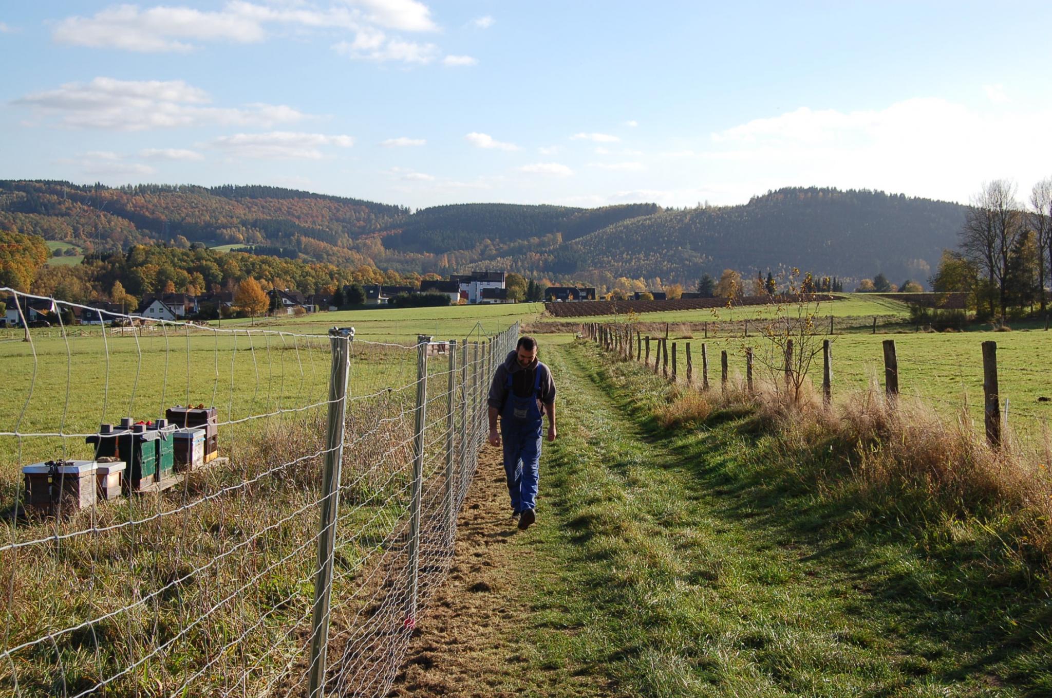 Errichtung des Wildschutzzauns