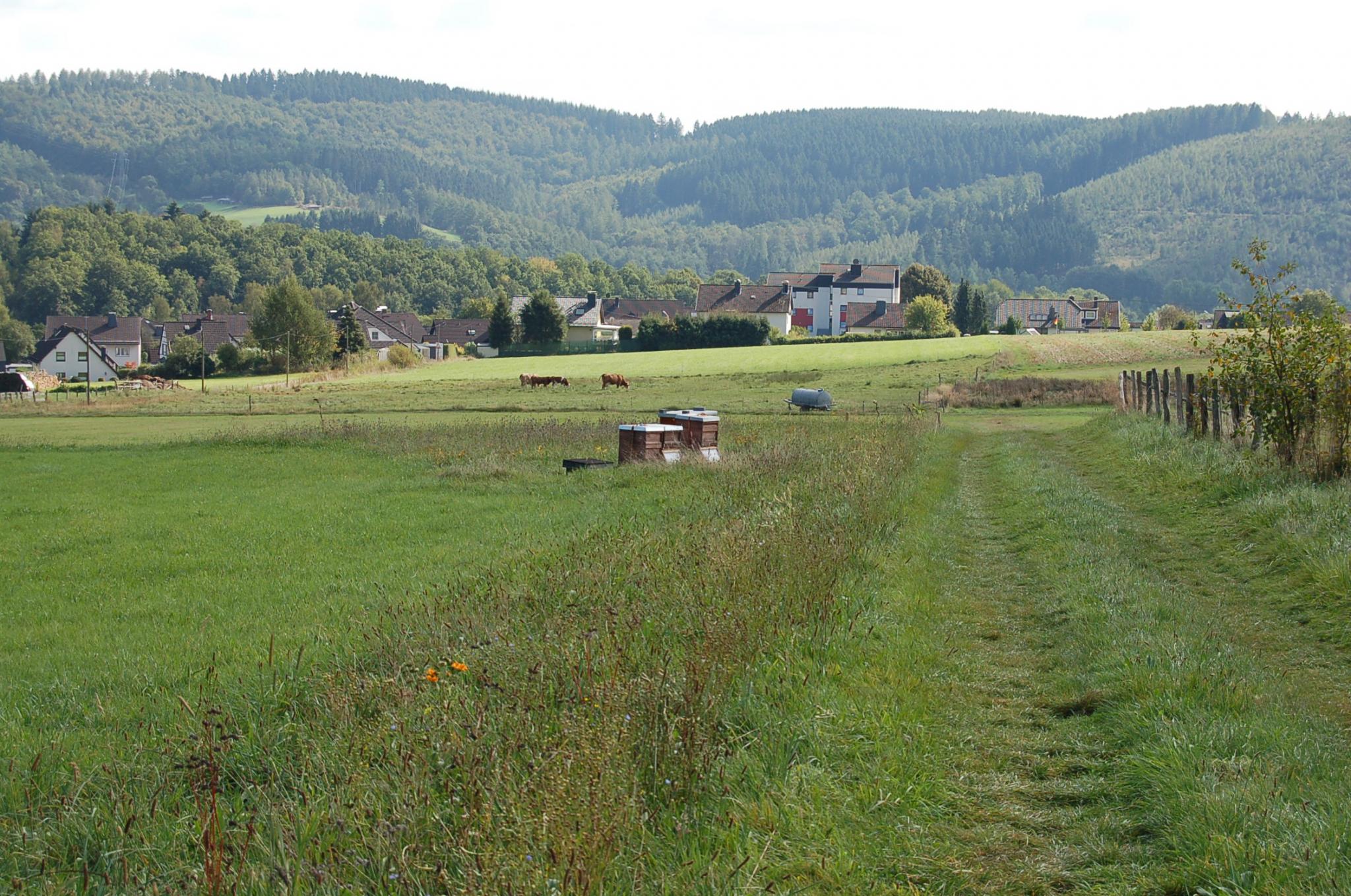 Bienengarten im September 2016