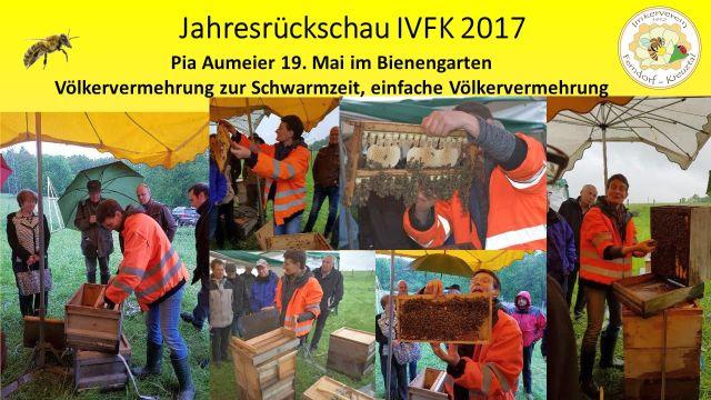 Bilder 2017