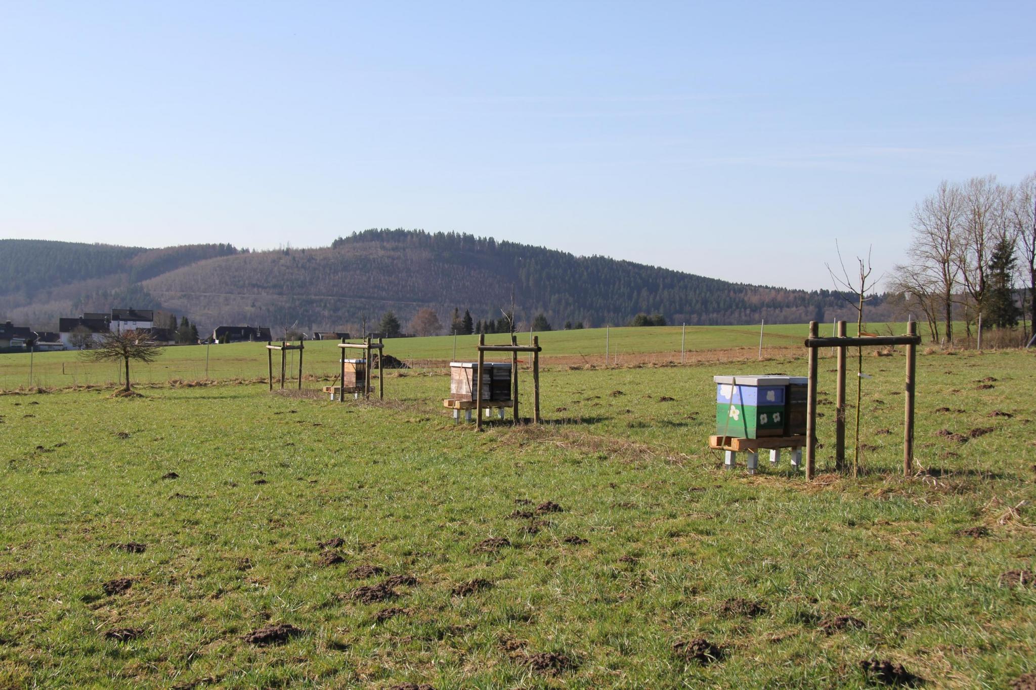 Bänke im Bienengarten